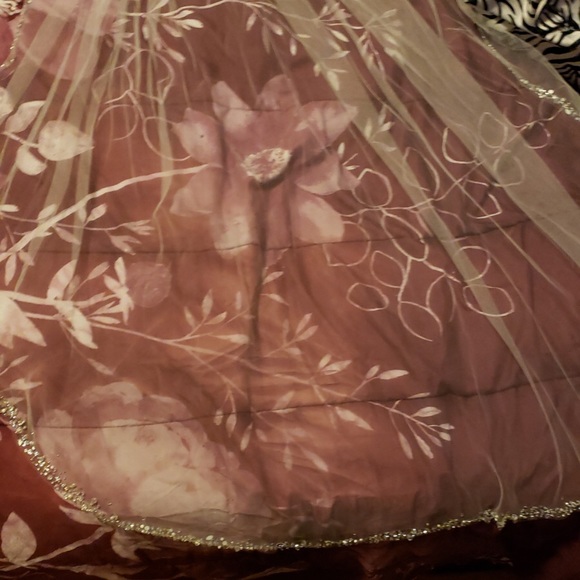 Veil - Picture 1 of 1